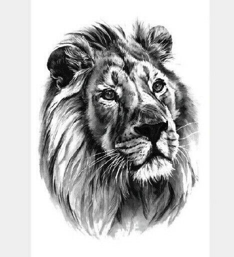Detailed Lion Temporary Tattoo Waterproof Fake Tattoos Womens Mens Arm Leg UK