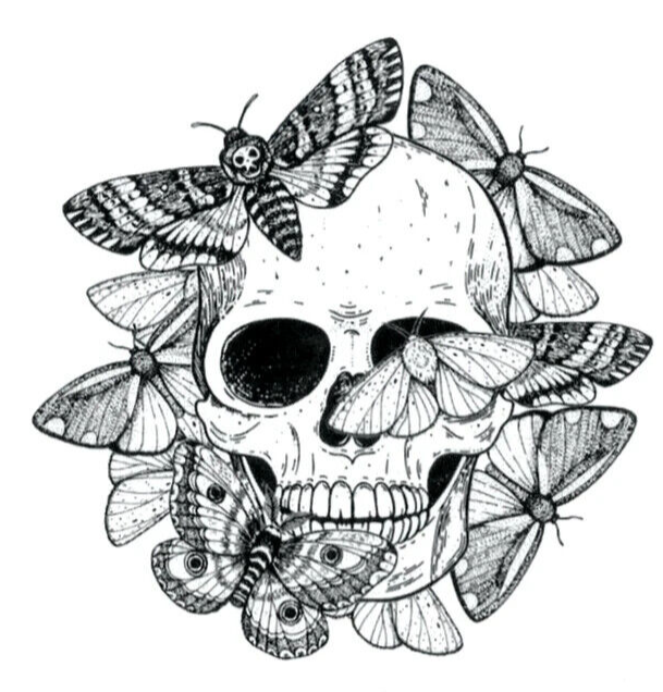 Moth Skull Death Waterproof Temporary Tattoo Stickers Women Men Kids Press on