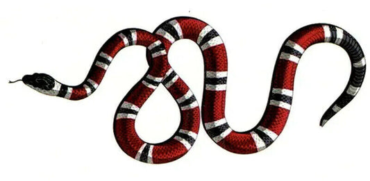 Small Snake Temporary Tattoos Women Mens Wrist tattoo Arm Fake Press on Sticker