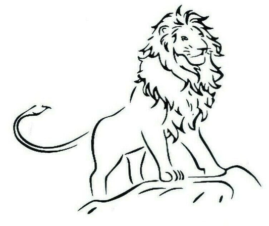 Lion King Cat Temporary Waterproof Tattoo Women Mens Kids Fake Sticker Arm