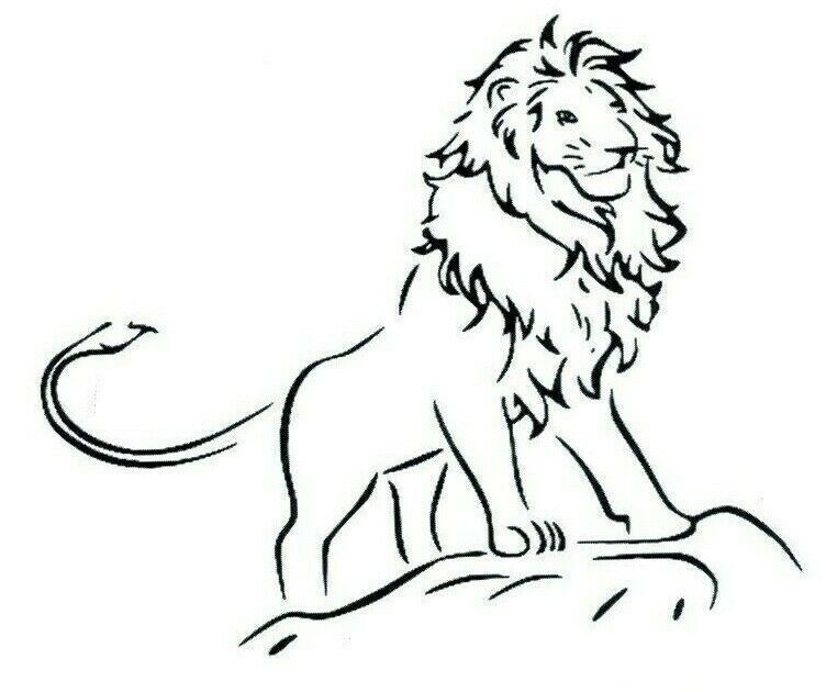 Lion King Cat Temporary Waterproof Tattoo Women Mens Kids Fake Sticker Arm