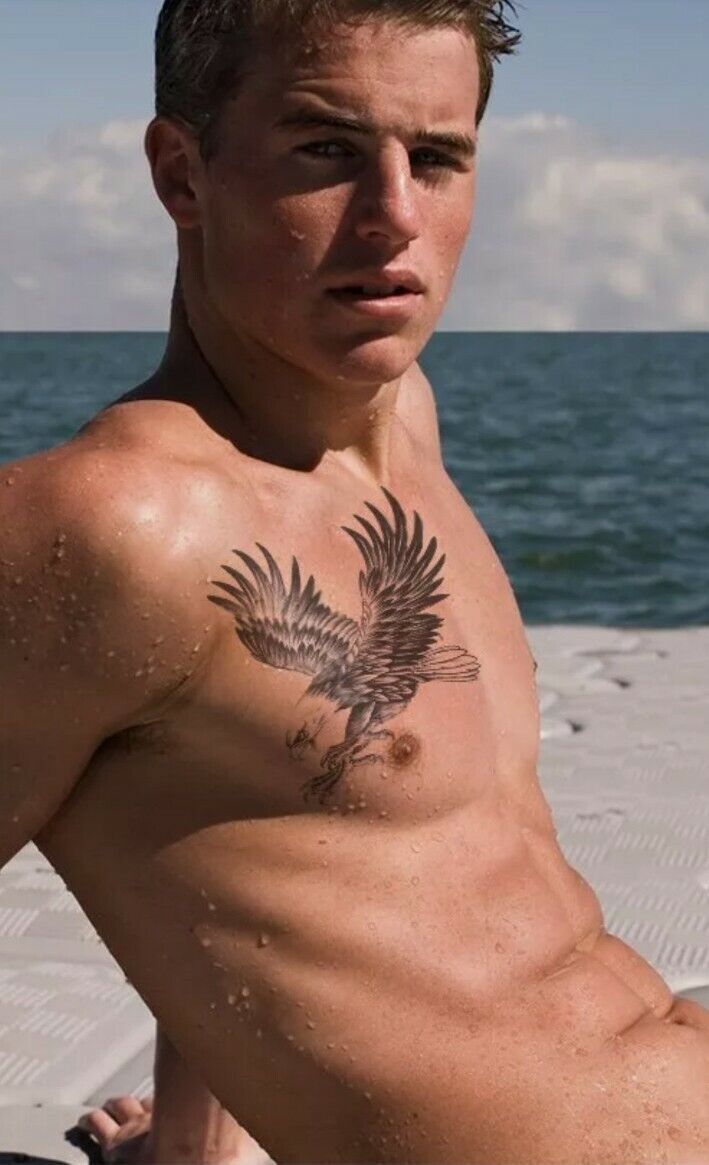 Eagle Bird Temporary Tattoo Women Mens Waterproof tattoos Arm Back American